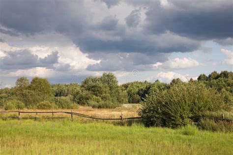 Meadow Under Cloudy Sky Stock Image Image Of Rural Cloudy 3272423