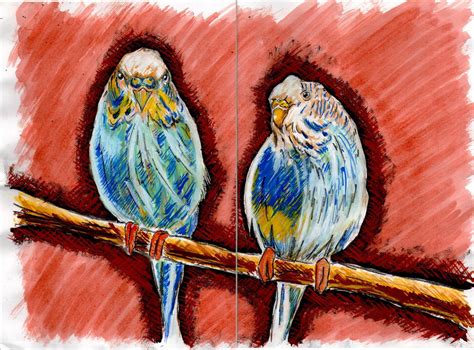 Beautiful Birds Watercolour By Christopherdonlee On Deviantart
