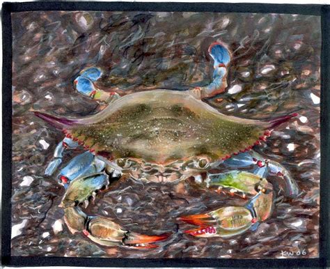 Maryland Blue Crab By Eattoast On Deviantart