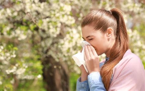 Pollen Allergy Symptoms And Treatment Az World News