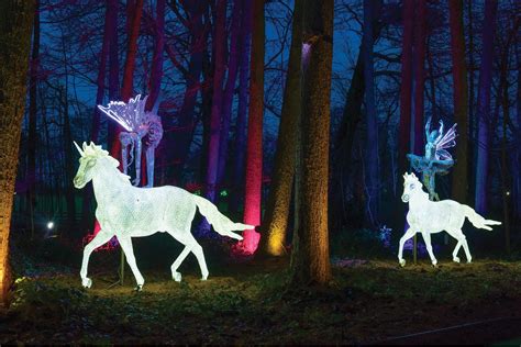 Stockeld Park Enchanted Forest Unicorn Illuminations 1920x1280