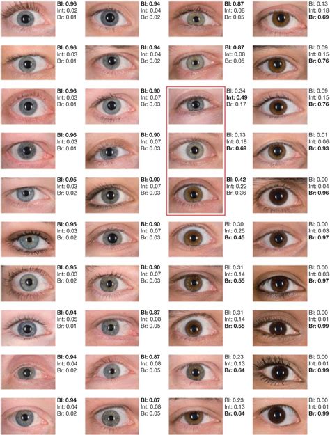 An Eye Chart With Different Colored Eyes And The Names Of Each All