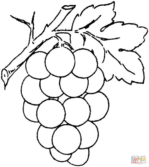 Dibujo de Uvas con Hoja para colorear | Dibujos para colorear imprimir