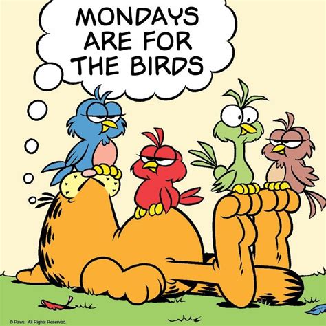 Mondays Are For The Birds Vultures Morning Quotes Funny Garfield