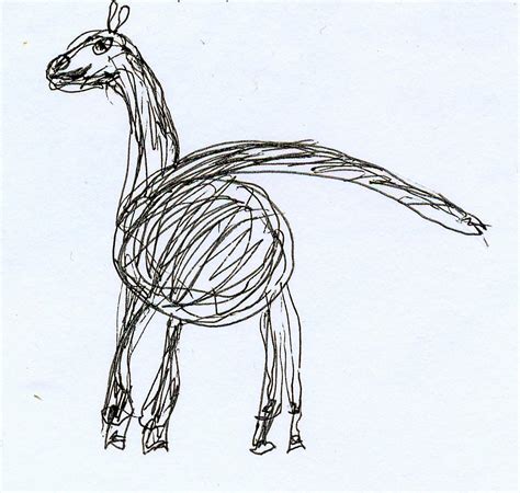 Long eyelashes and ear hairs are protective. What do you get when you cross a camel with a llama ...