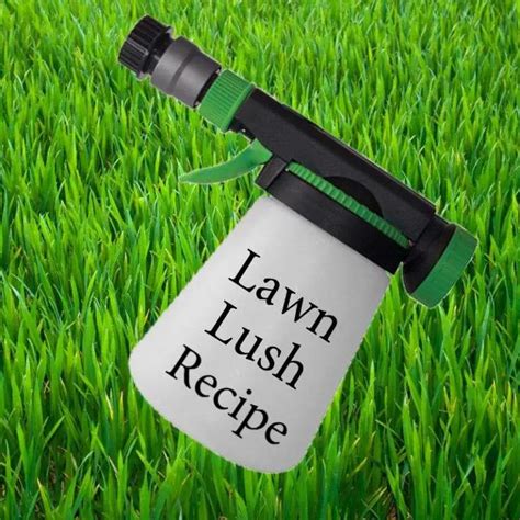 How To Make My Lawn Green And Thick LoveMyLawn Net