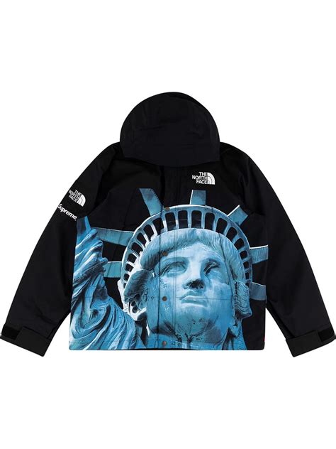 Supreme X The North Face Jacket In Black Modesens