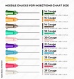 Needle gauges for injections chart size - infographic elements with ...