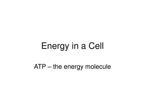 Ppt Energy In A Cell Powerpoint Presentation Free Download Id826181