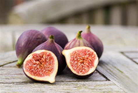 All About The Hardy Lsu Purple Fig Minneopa Orchards