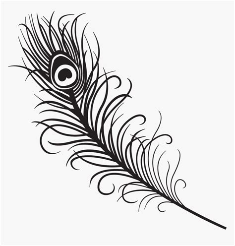 Turkey Feather Outline Clipart Image