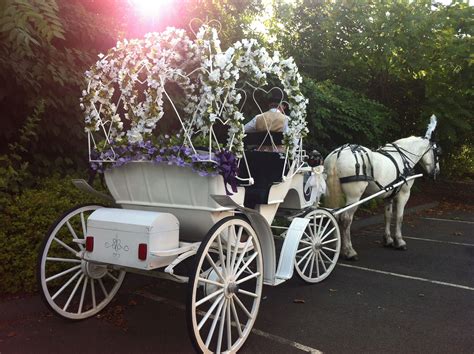 Carriages In 2024 Wedding Carriage Horse Wedding