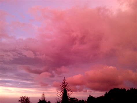Free Stock Photo Of Pink Clouds Pink Sunset