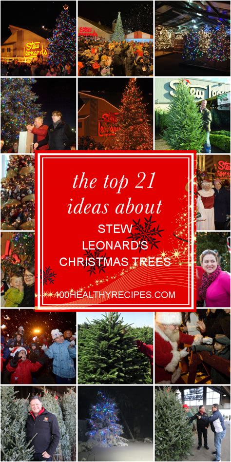 It was also considered sacred by the druids. Stew Leonards Christmas Trees 2020 | Christmas 2020