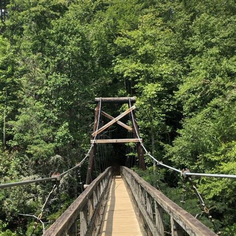 Toccoa River Swinging Bridge In Blueridgegeorgia A Short Hike To The