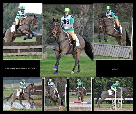 Montage Samplesequestrian Samplesequestrian Sample00051