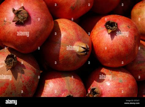 Pomegranate Sales India Hi Res Stock Photography And Images Alamy
