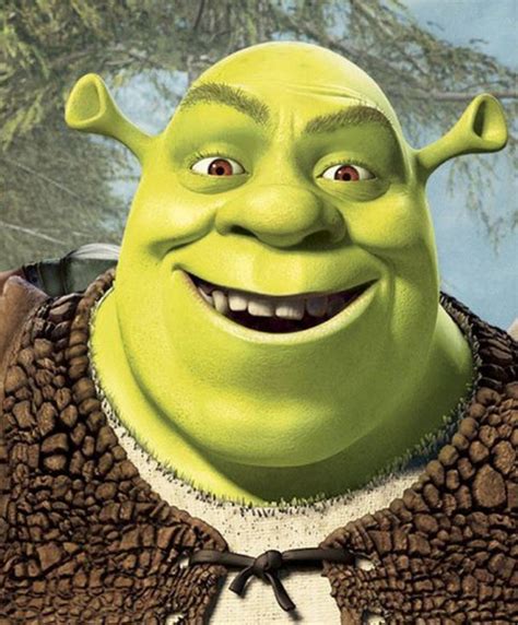 33 Pfp For 3 In 2022 Shrek Amazing Stories The Beatles Help