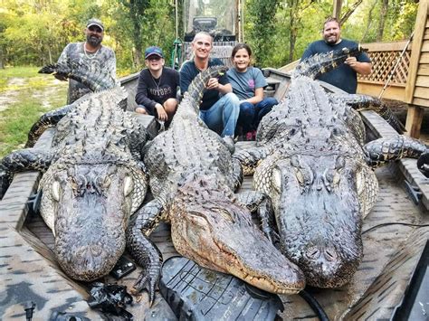 Gator Hunting Application Period Opens May 1 Outdoors