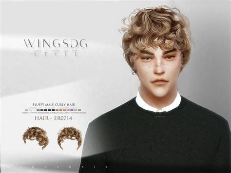Fluffy Male Curly Hair Er0714 The Sims 4 Catalog
