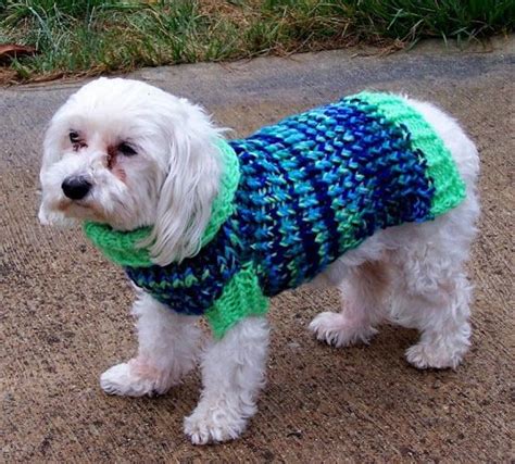 Loom Lore Sock It To Me Dog Sweater Round Loom Knitting Loom