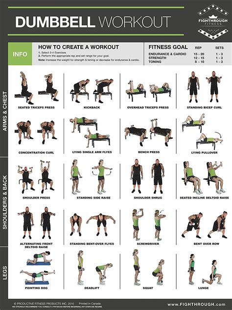 Workout Poster Dumbbell Exercise Poster Laminated Free Weight Strength Training Chart Fitness