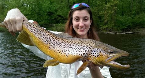 White River Trout Fly Fishing Guides Trout Fly Fishing Guides Arkansas