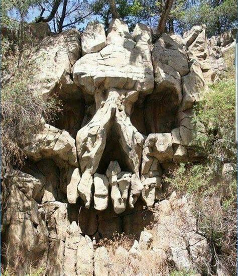 Skull Cave Skull Art Nature Amazing Nature