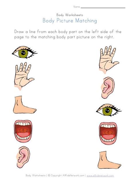 Body Parts Printable Worksheets Ted Lutons Printable Activities For Kids