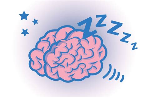 Why Sleep May Protect Your Brain From Alzheimers Disease The Healthy