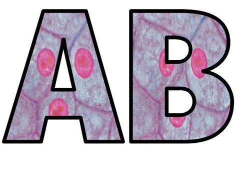 New Cambridge Science Biology Cell Biology Lettering Whole Alphabet