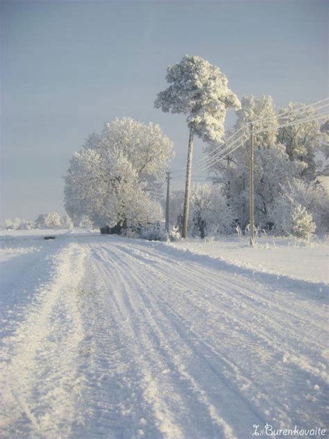 Winter Beauty In Lithuania Lithuania Lithuanian Ancestry Winter Beauty