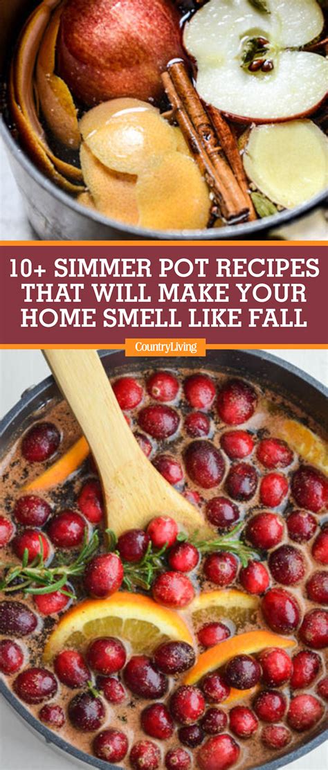 10 Homemade Stovetop Potpourri Recipes How To Make Simmering Potpourri