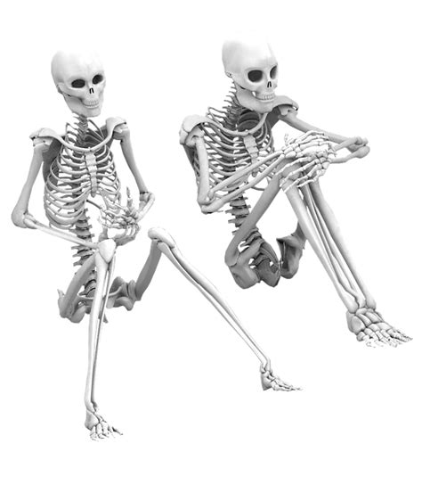 Skeleton Sitting Isolated Free Image On Pixabay