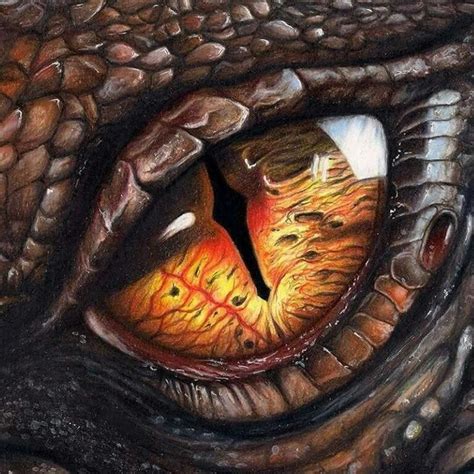 Pin By Patricia Alonso On Dragon Dragon Eye Drawing Dragon Artwork Fantasy Dragon Artwork