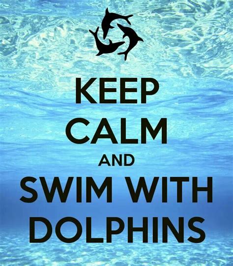 Keep Calm And Swim With Dolphins Dolphins Dolphin Tale Dolphin Quotes