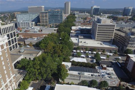 Going Green How Trees Helped Transform Greenville Into A Top Travel