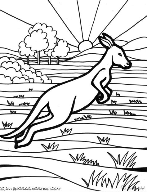 Colouring Australian Animals Coloring Pages Australia Printable Kids