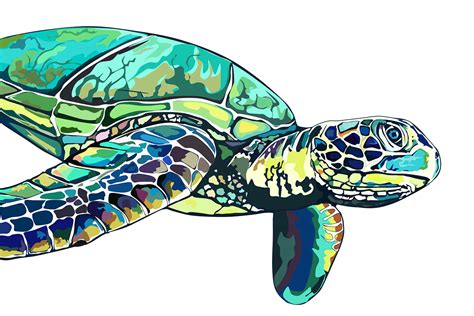 Sea Turtle Illustration On Behance