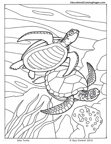 Sea And Seashore Book Two Animal Coloring Pages For Kids