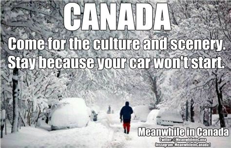 96 Twitter Canada Jokes Meanwhile In Canada Canada Funny