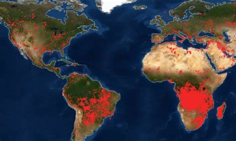 Maps Of Ongoing Forest Fires Around The World Are Terrifying And Africa