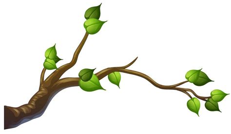 Clipart Tree With Branches And Leaves