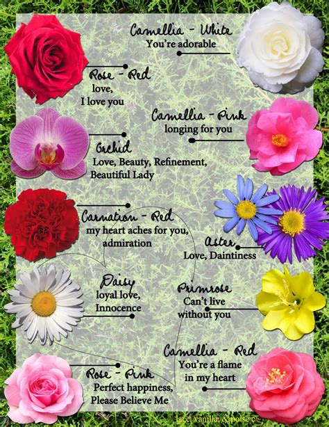 Things About Meanings Of Flowers You Have To Experience It Yourself