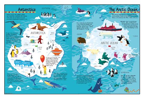 Childrens Arctic And Antarctic Picture Map Cosmographics Ltd