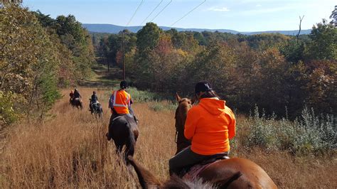 Trail Rides In Maryland