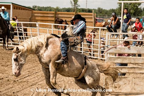 Bareback Riding At Crow Fair Rodeo On Crow Indian Reservation In