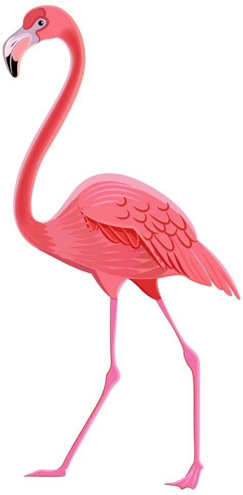 Flamingo Png Transparent Clip Art Image Gallery