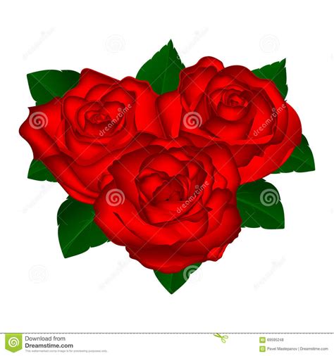 Für wirklich jeden anlass der richtige strauß: Blumenstrauß Von Roten Rosen Auf Einem Weißen Hintergrund ...