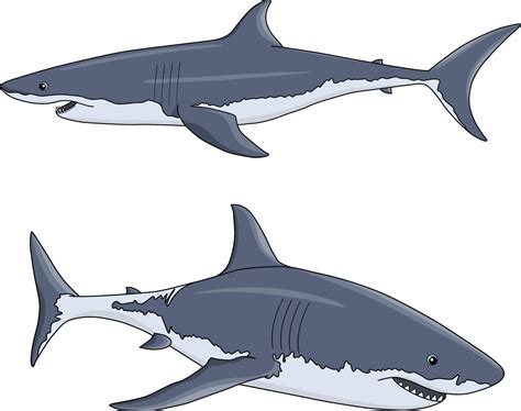 Two Vector Sharks In Cartoon Style 2375502 Vector Art At Vecteezy